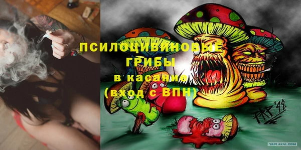 ПСИЛОЦИБИНОВЫЕ ГРИБЫ Протвино