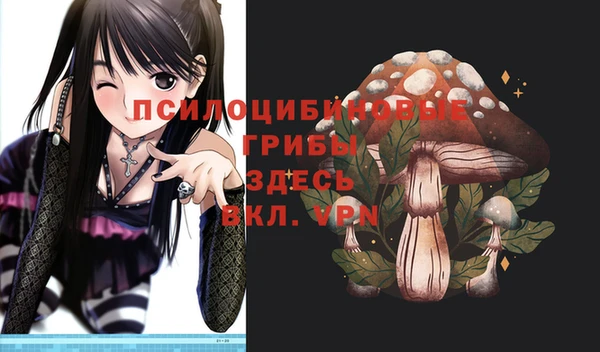 spice Пролетарск