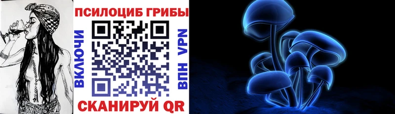 Галлюциногенные грибы Psilocybe  Монино 